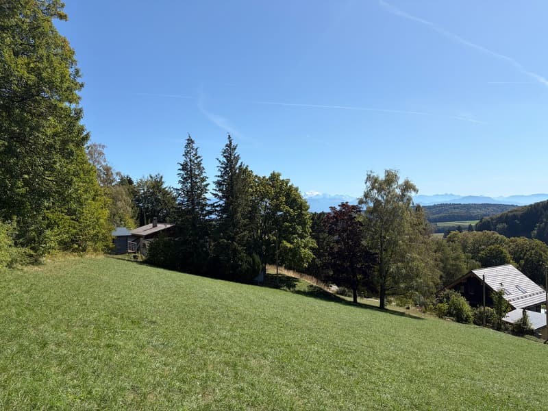 2 plots of 1100 m² - 30 minutes from Geneva (2)