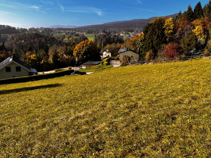 1 Plot of 2200 m² - 30 minutes from Geneva (4)