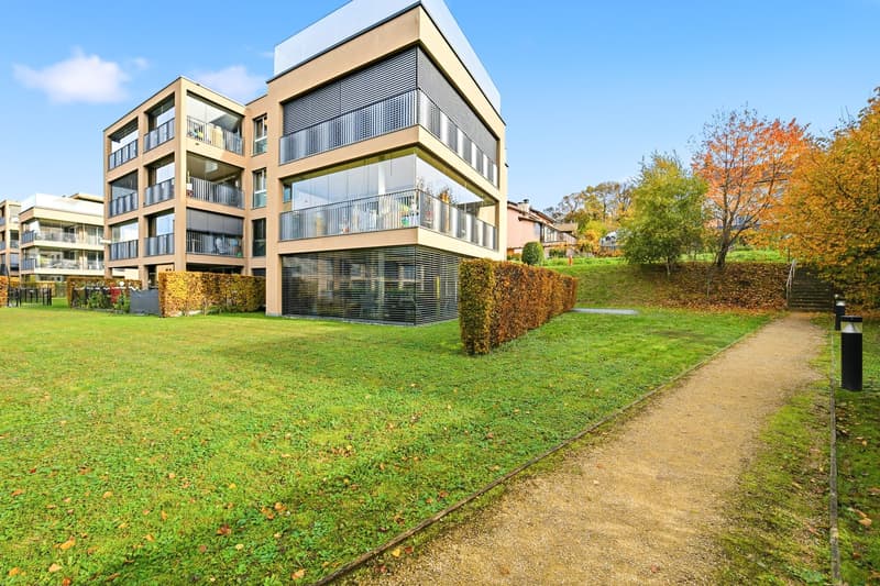 SOLD! Magnificent 5.5-room attic apartment in Mont-sur-Lausanne (13)