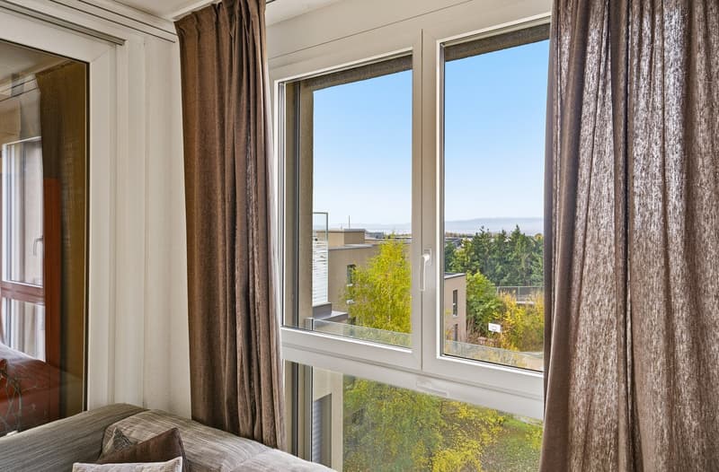 SOLD! Magnificent 5.5-room attic apartment in Mont-sur-Lausanne (12)
