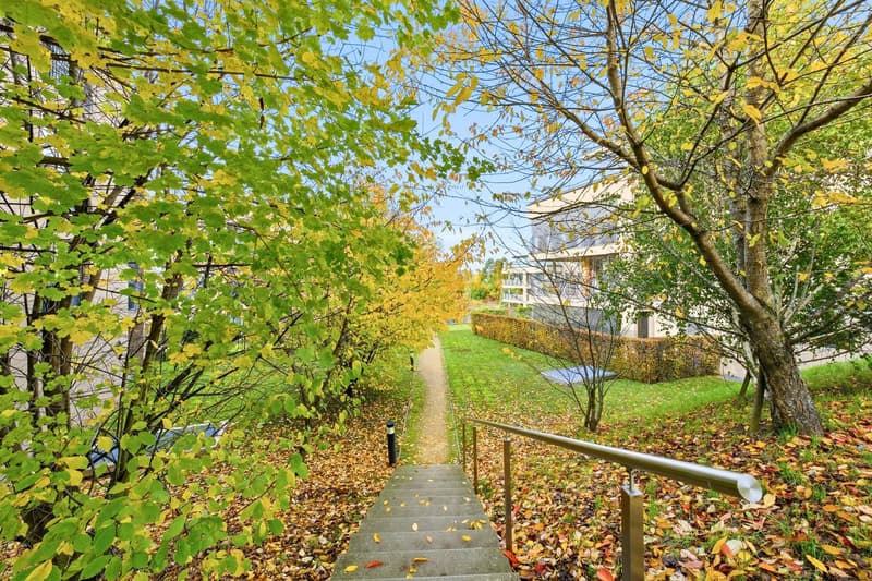 SOLD! Magnificent 5.5-room attic apartment in Mont-sur-Lausanne (4)