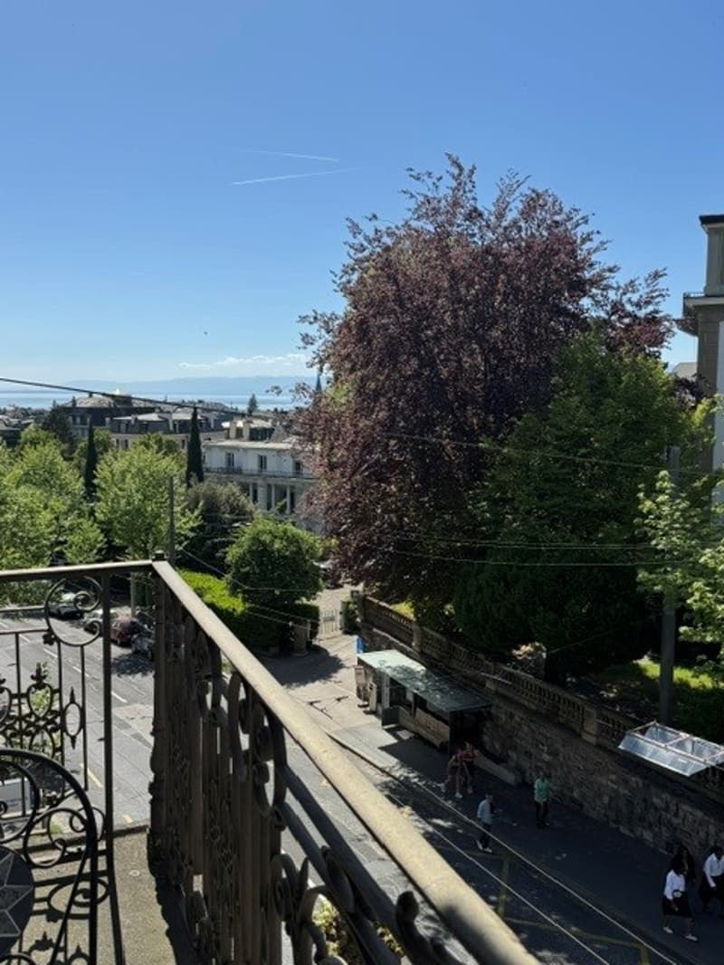 Lausanne sotto la stazione - Oggetto raro - magnifico appartamento ristrutturato in un edificio del 1900 (2)