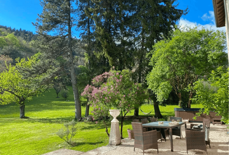 En France voisine - à une heure de Genève .A vendre magnifique château- (5)