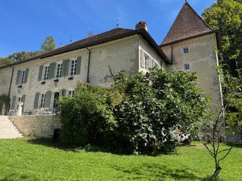 En France voisine - à une heure de Genève .A vendre magnifique château- (2)