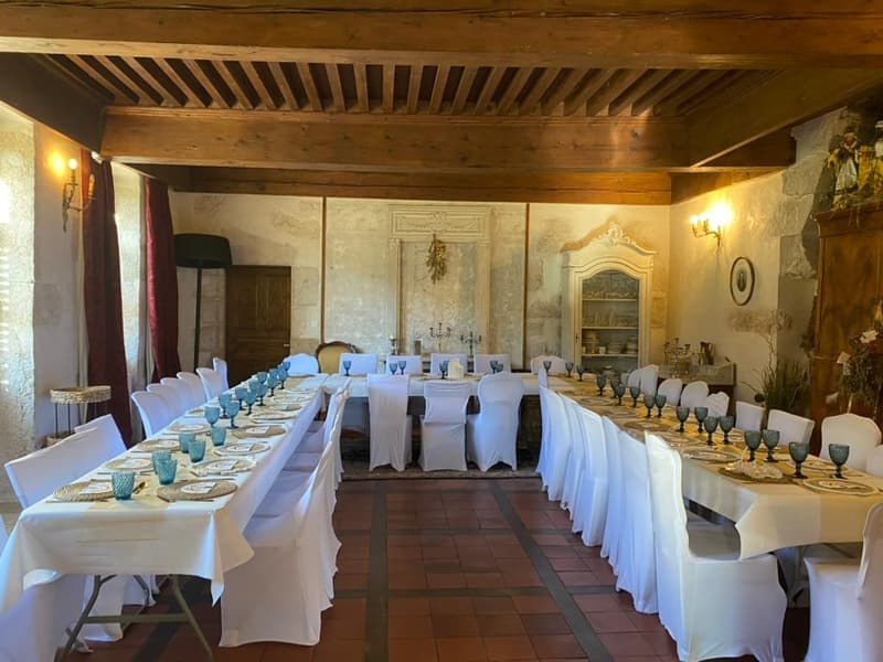 En France voisine - à une heure de Genève .A vendre magnifique château- (9)