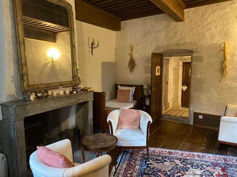 En France voisine - à une heure de Genève .A vendre magnifique château- (10)