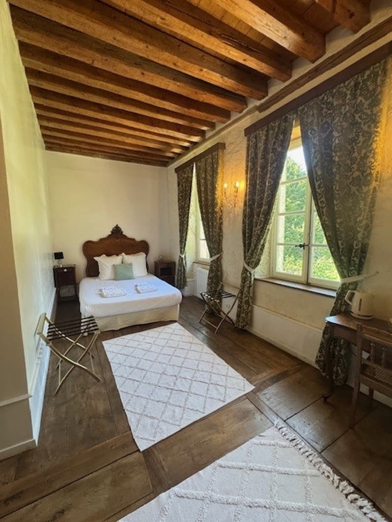 En France voisine - à une heure de Genève .A vendre magnifique château- (14)