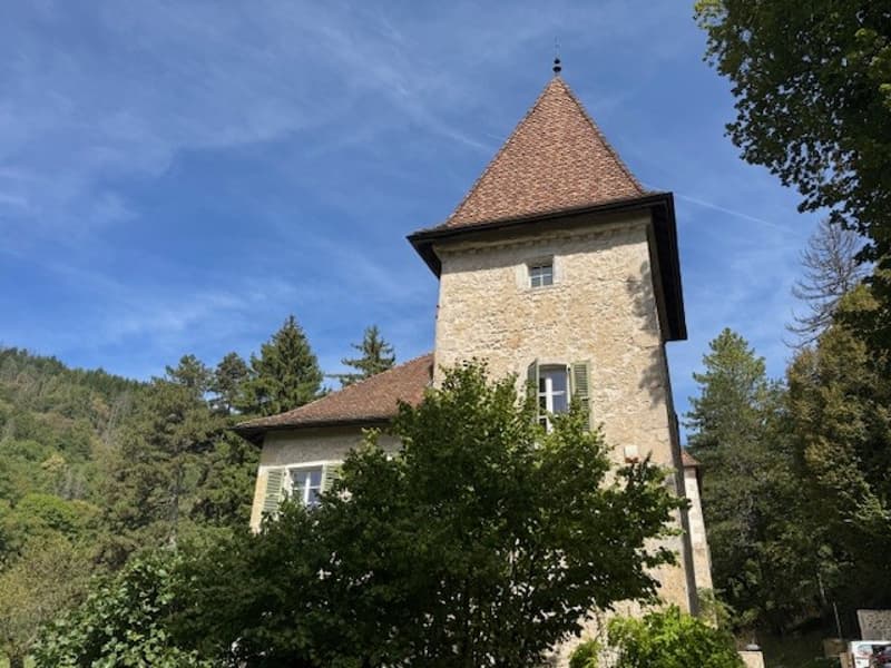 En France voisine - à une heure de Genève .A vendre magnifique château- (1)