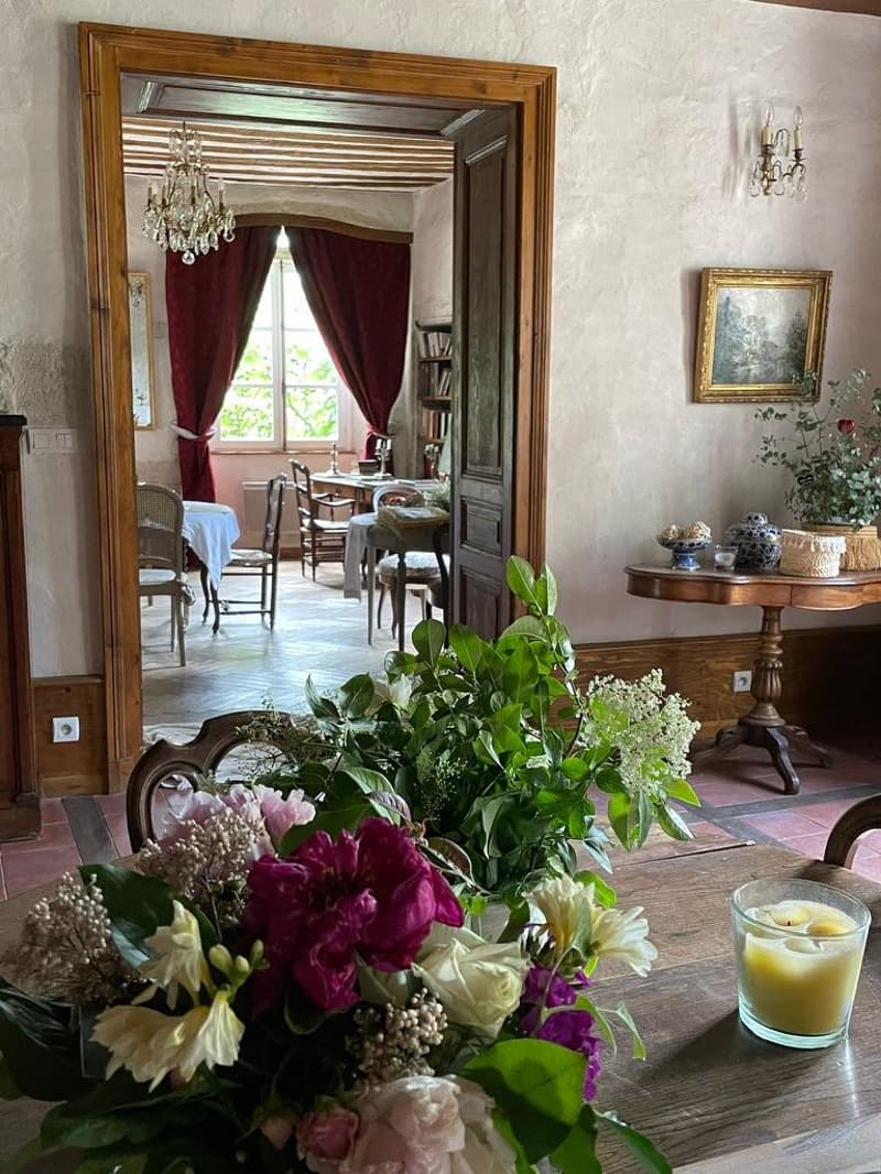 En France voisine - à une heure de Genève .A vendre magnifique château- (11)