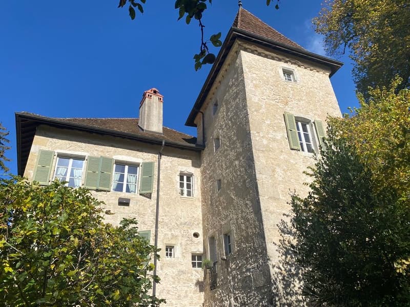 En France voisine - à une heure de Genève .A vendre magnifique château- (4)