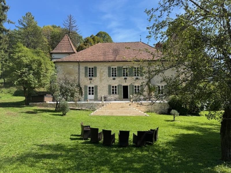 En France voisine -  à une heure de Genève .A vendre magnifique château- (3)