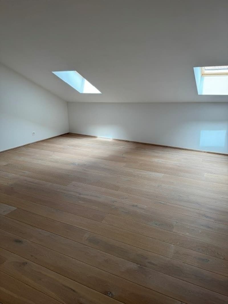 ECLEPENS - Superbe appartement en triplex (6)
