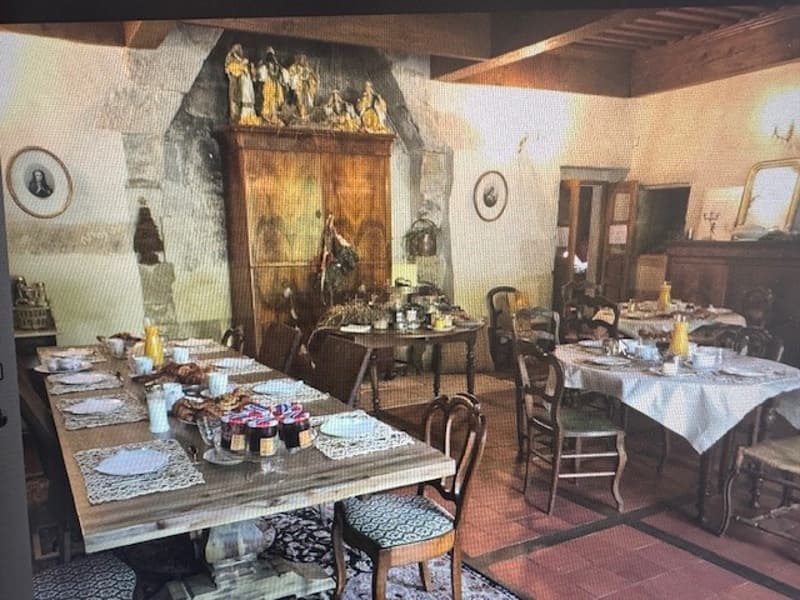 En France voisine -  à une heure de Genève .A vendre magnifique château- (8)