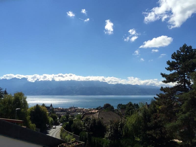 LUTRY - Charmant attique de 2.5 pièces plus combles avec vue et balcon (1)