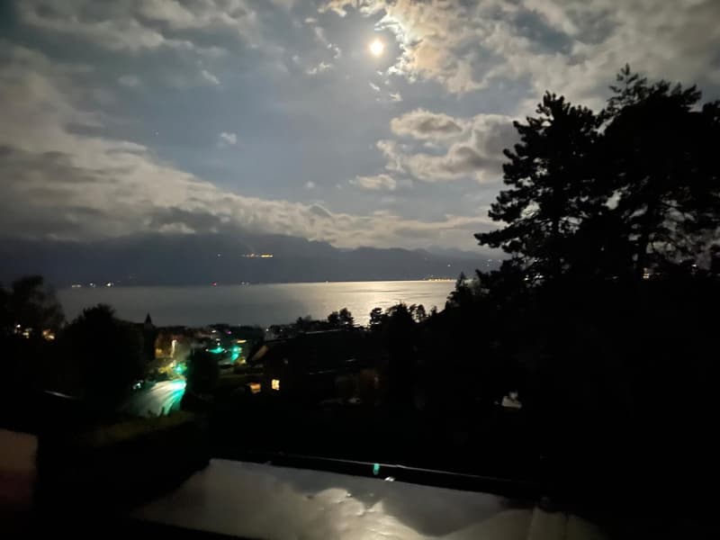 LUTRY - Charmant attique de 2.5 pièces plus combles avec vue et balcon (2)
