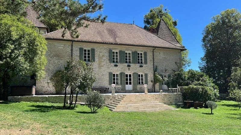 En France voisine - à une heure de Genève .A vendre magnifique château- (2)