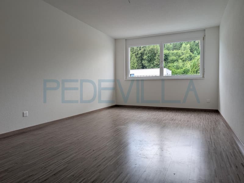 Appartement en attique avec terrasse spacieuse (5)