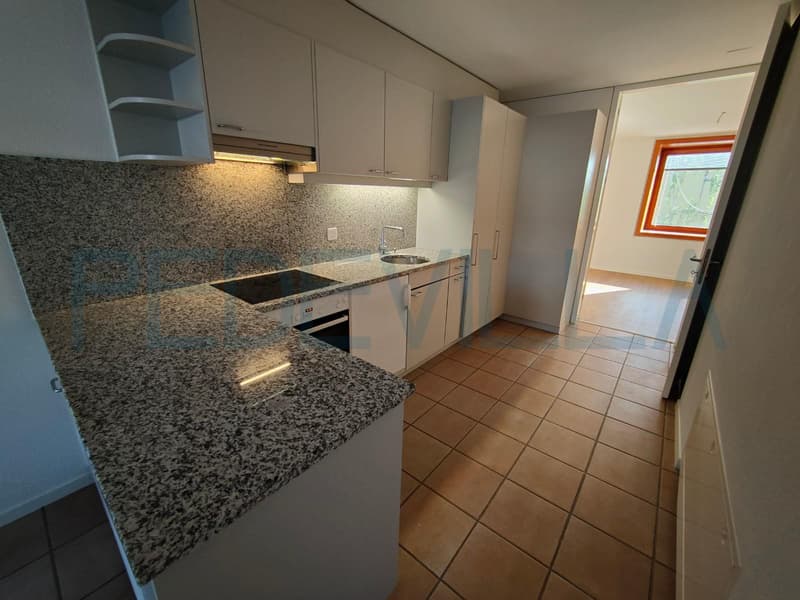 2502 Bienne: 2.5 pièces à proximité du parc de la ville (2)
