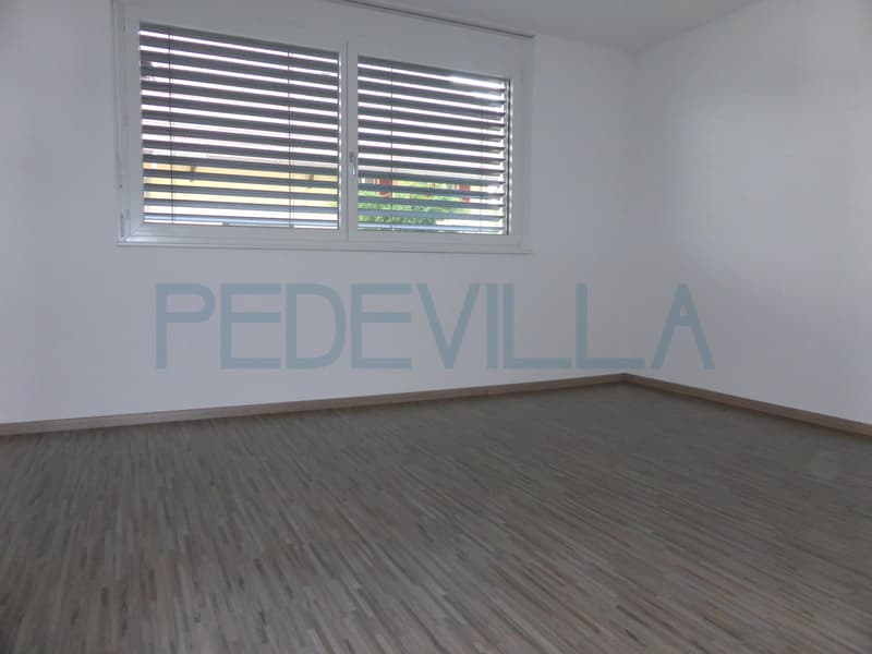 Grand appartement de 4.5 pièces avec balcon (5)