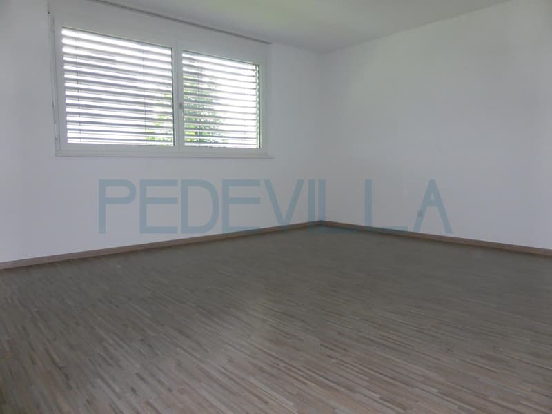 Grand appartement de 4.5 pièces avec balcon (3)