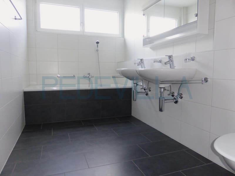 Grand appartement de 4.5 pièces avec balcon (4)