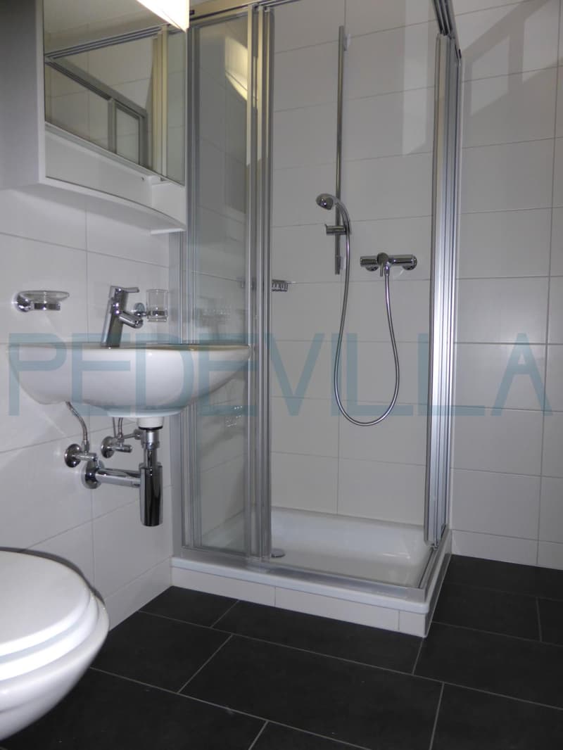 Grand appartement de 4.5 pièces avec balcon (7)