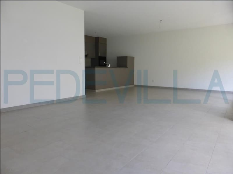 Grand appartement de 4.5 pièces avec balcon (1)