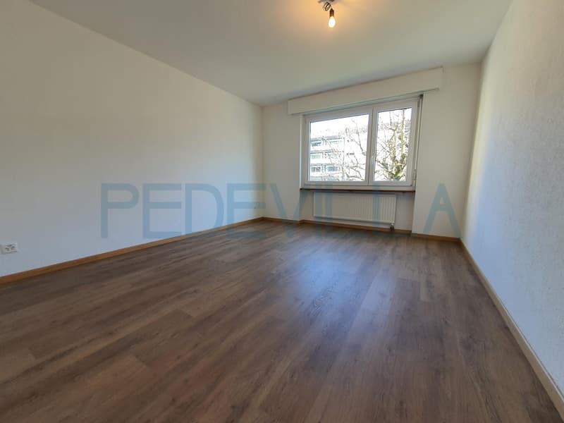 Moderne 4.5 Zi.-Wohnung zu vermieten (4)