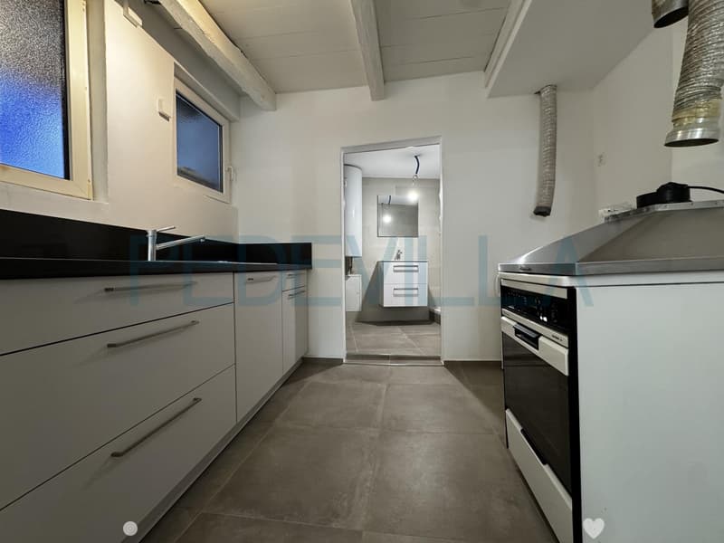 À louer ? Joli 1,5 pièce rénové avec mezzanine ? Un logement plein de charme (3)