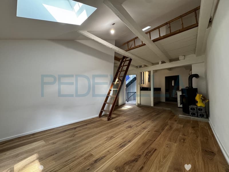 À louer ? Joli 1,5 pièce rénové avec mezzanine ? Un logement plein de charme (1)