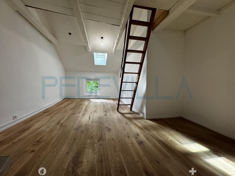 À louer ? Joli 1,5 pièce rénové avec mezzanine ? Un logement plein de charme (7)