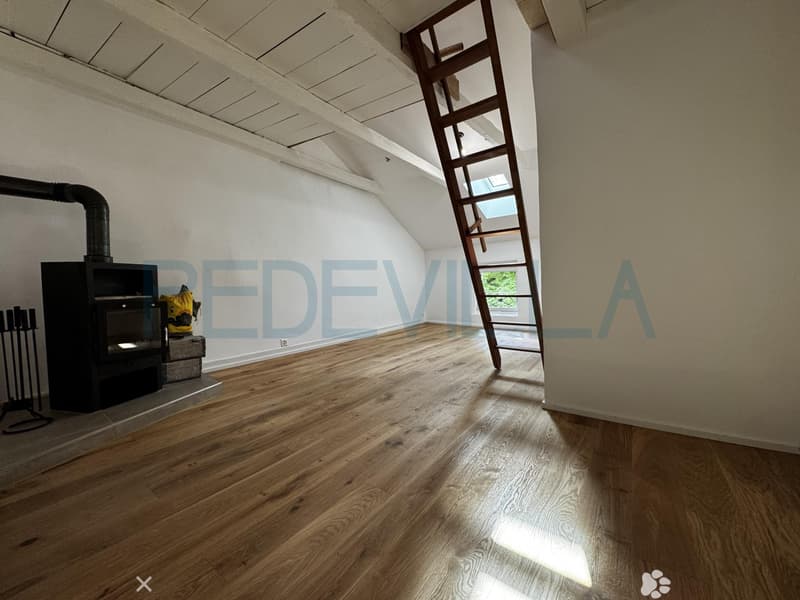 À louer ? Joli 1,5 pièce rénové avec mezzanine ? Un logement plein de charme (2)