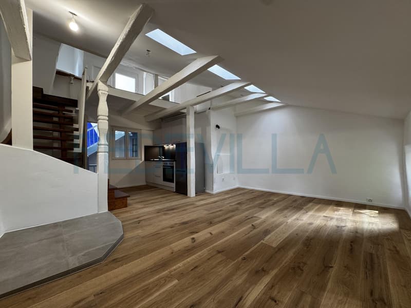 À louer - Superbe 2 pièces en duplex entièrement rénové (4)