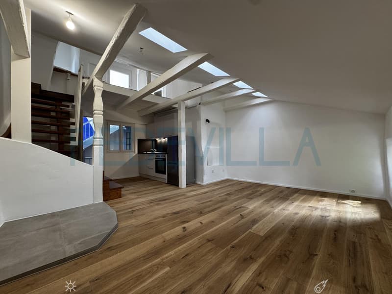 À louer - Superbe 2 pièces en duplex entièrement rénové (4)