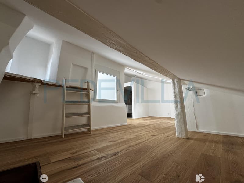 À louer - Superbe 2 pièces en duplex entièrement rénové (5)