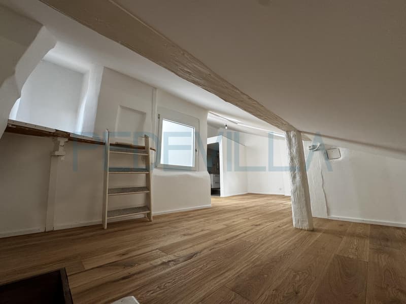 À louer - Superbe 2 pièces en duplex entièrement rénové (5)