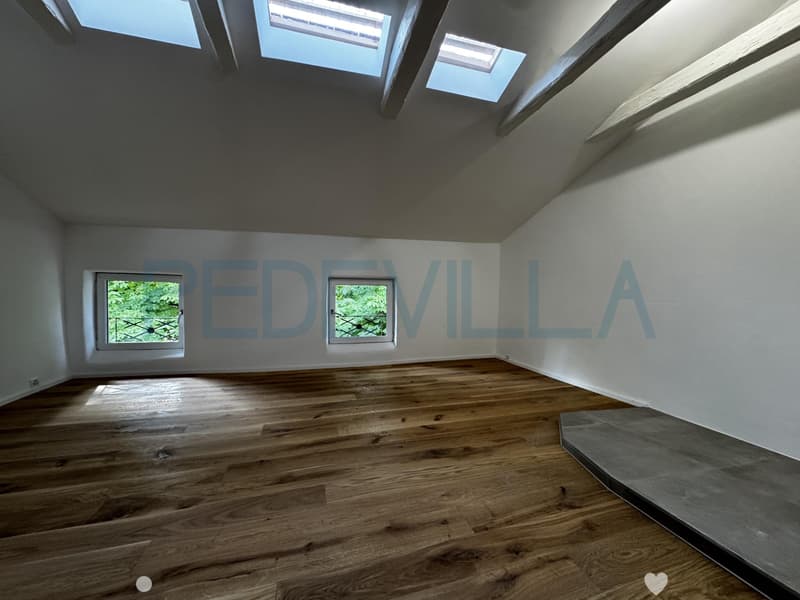 À louer - Superbe 2 pièces en duplex entièrement rénové (3)