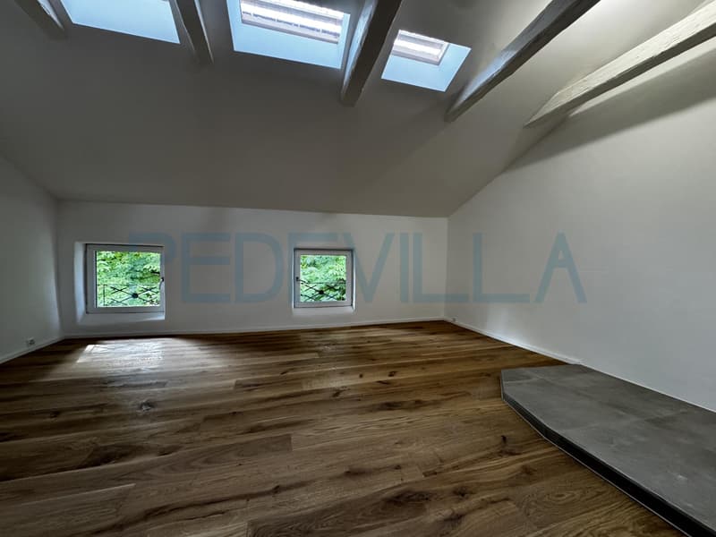 À louer - Superbe 2 pièces en duplex entièrement rénové (3)
