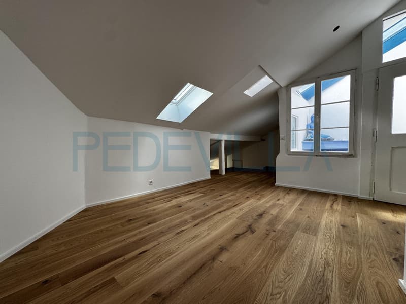 À louer - Superbe 2 pièces en duplex entièrement rénové (7)