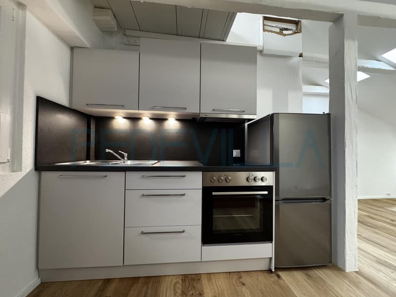 À louer - Superbe 2 pièces en duplex entièrement rénové (2)