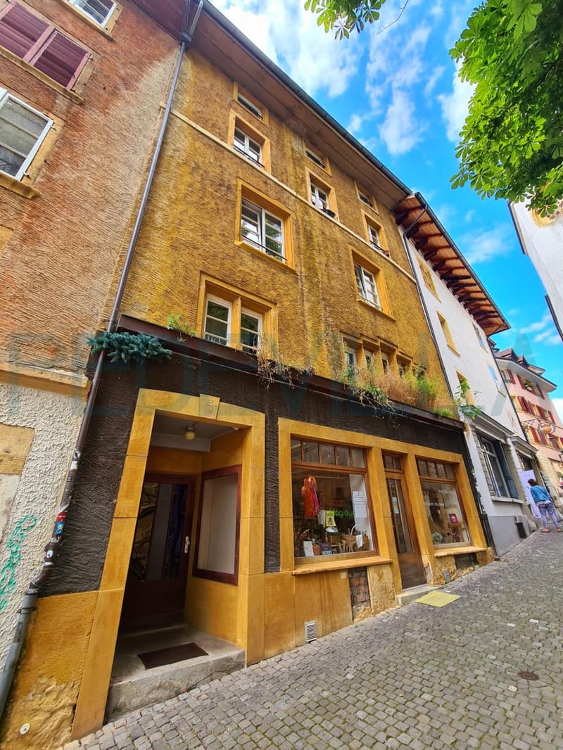 À louer - Superbe 2 pièces en duplex entièrement rénové (10)
