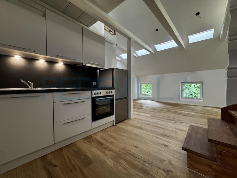 À louer - Superbe 2 pièces en duplex entièrement rénové (1)