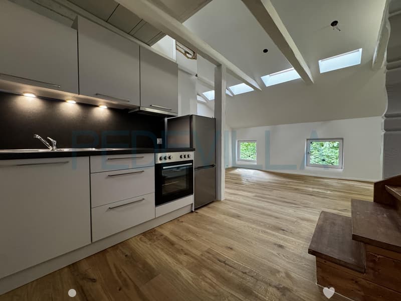 À louer - Superbe 2 pièces en duplex entièrement rénové (1)