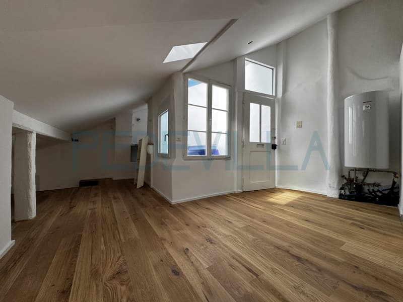 À louer - Superbe 2 pièces en duplex entièrement rénové (8)