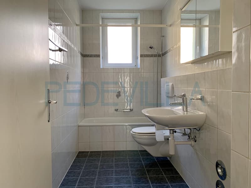 À louer - charmant appartement de 3 pièces au rez-de-chaussée (7)