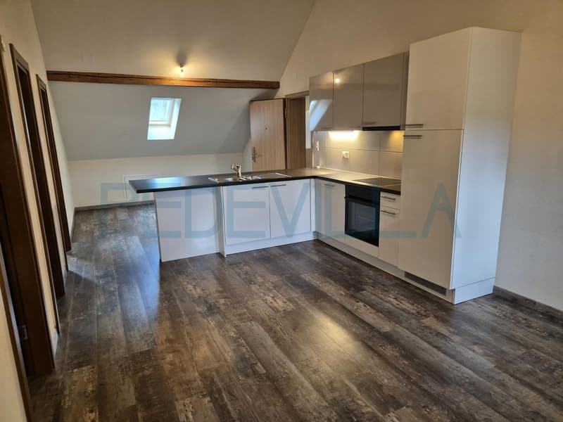 Charmant appartement de 3.5 pièces (1)
