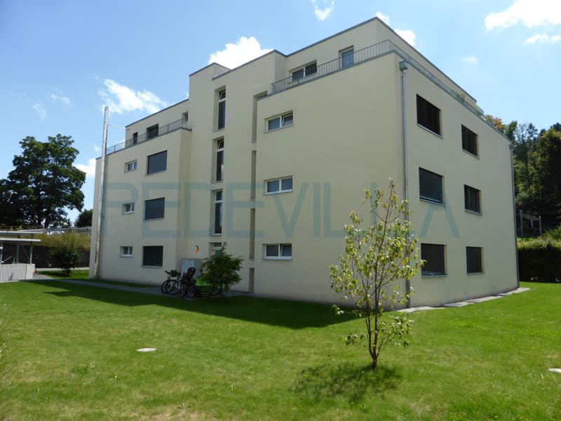 À louer - 3.5 pièces avec terrasse (1)