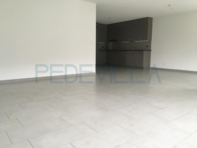 À louer - 3.5 pièces avec terrasse (3)