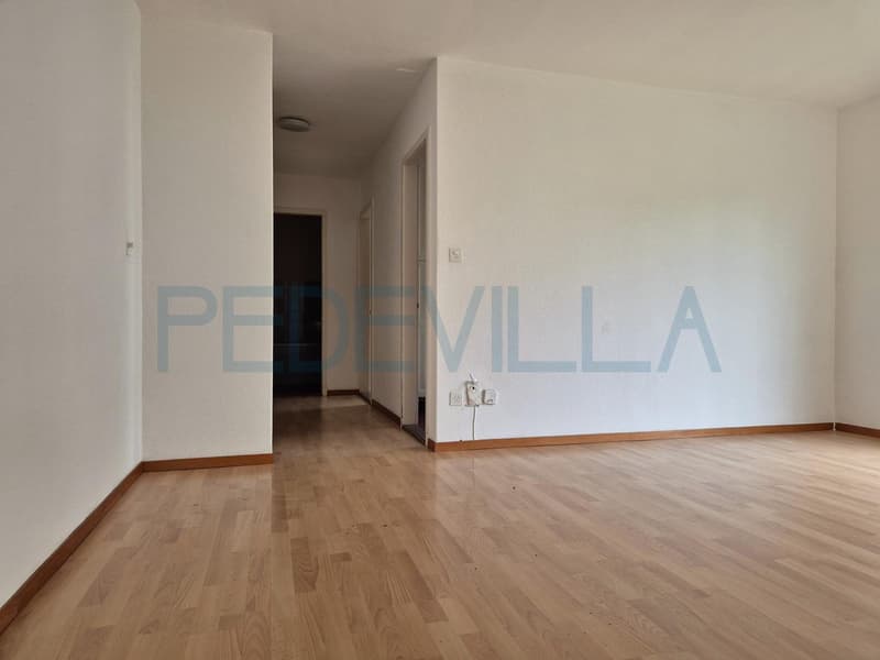 Appartement 3 pces à louer (4)
