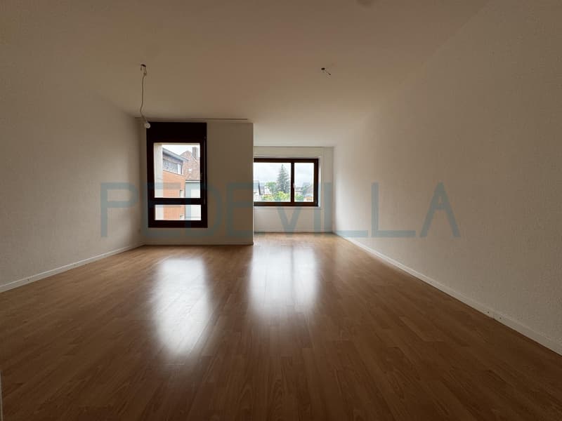 3.5 Duplexwohnung nähe Stadtpark (8)